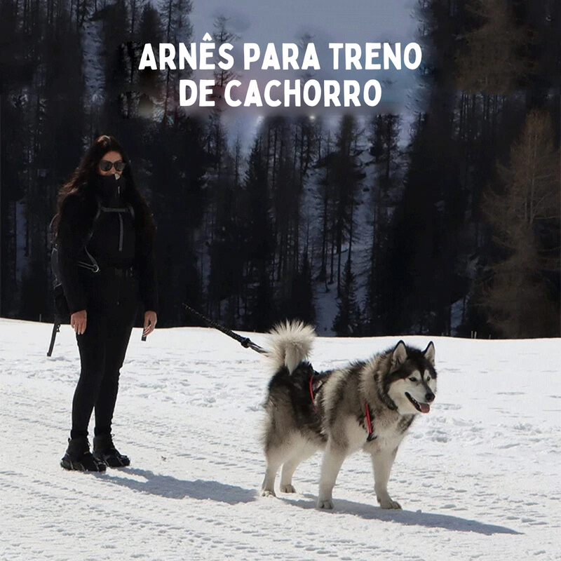 Peitoral Coleira Mãos Livre para Corrida com Cachorros