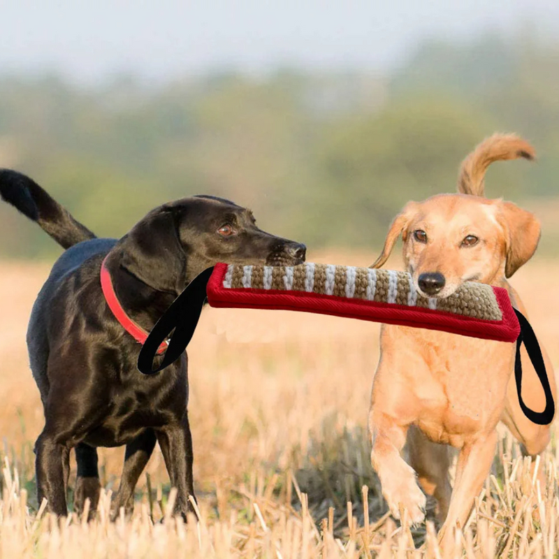 Brinquedo Mordedor com Corda Puxador para Treinamento e Adestramento de Cães