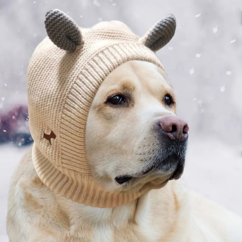 Chapéu Gorro Touca Pet de Inverno para Cachorros