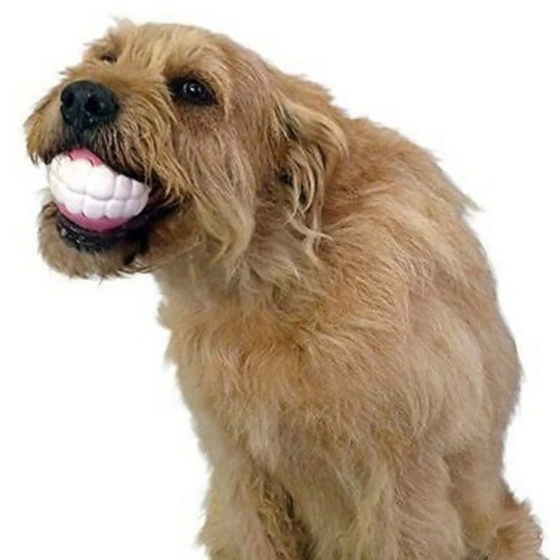 Brinquedo Bola Pet Sorriso Dentadura para Cachorros