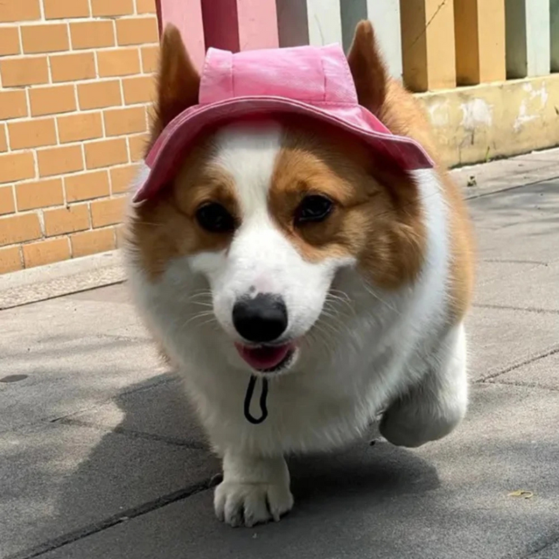 Boné Pet Chapéu com Cordinha e Abertura para Orelhas de Cachorros