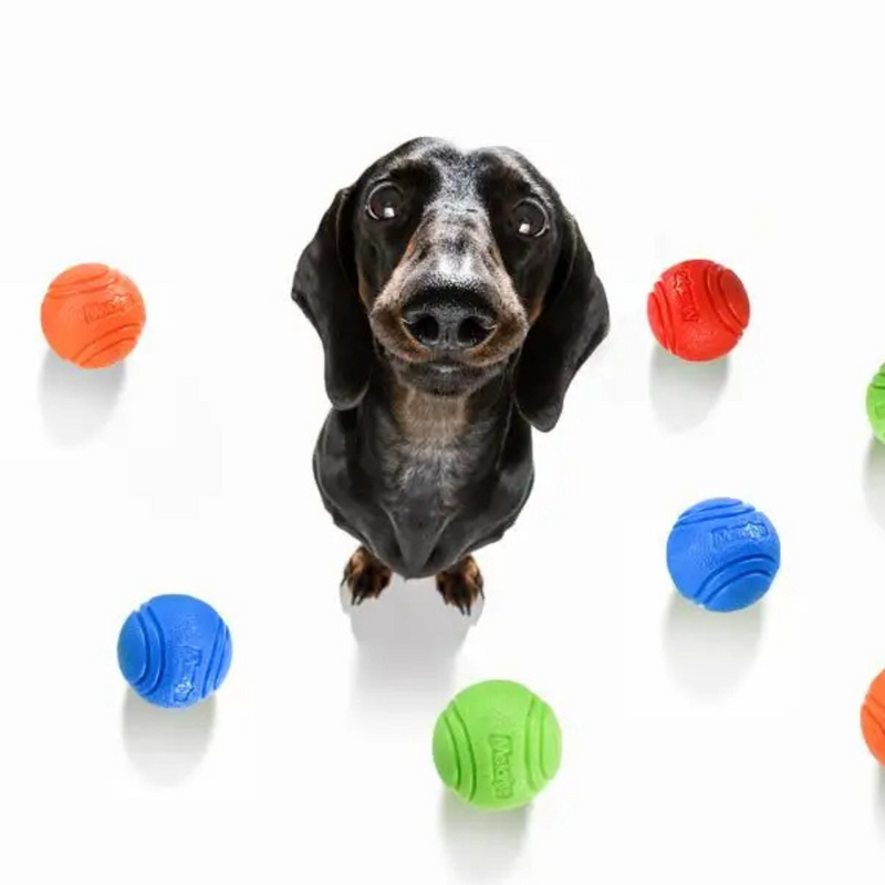 Bola Resistente Mastigável para Cachorros