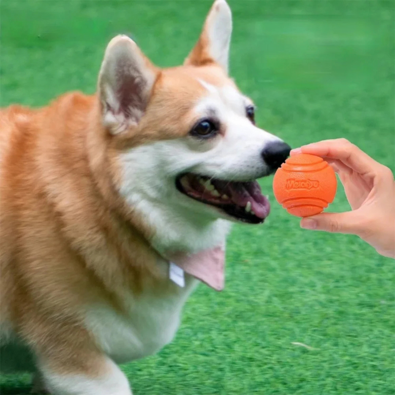 Bola Resistente Mastigável para Cachorros