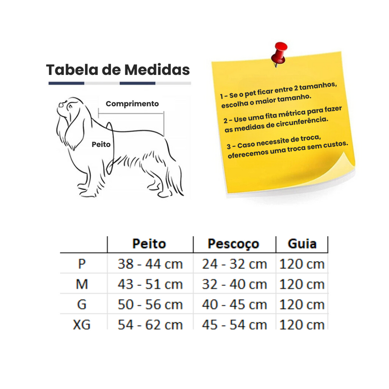 Conjunto Coleira Peitoral e Guia para Cachorros