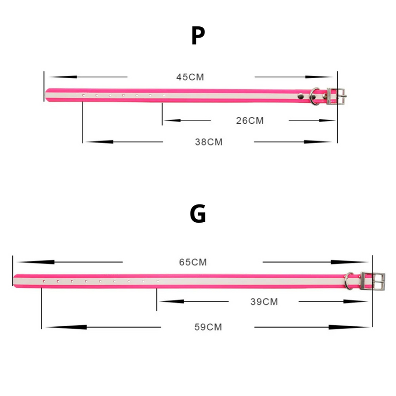 Coleira Fashion para Pets Resistente, Estilosa e Fácil de Limpar