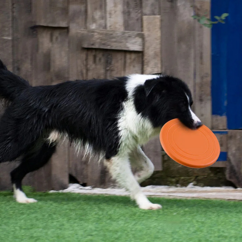 Disco Frisbee Voador de Silicone para Cachorros