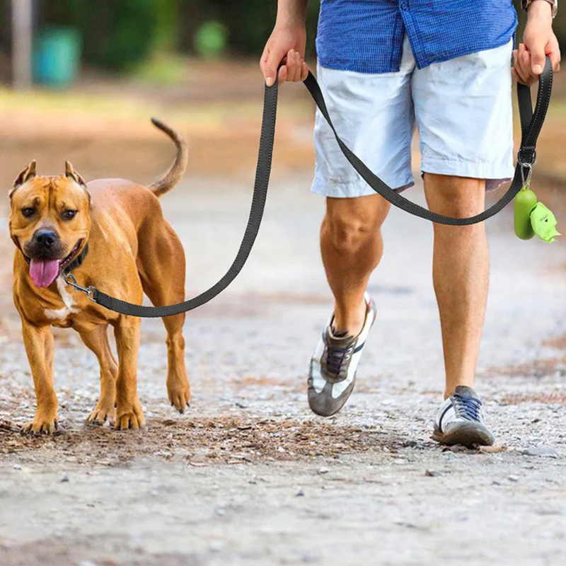 Guia Noturna Refletiva com Fivela de Aço para Cachorros