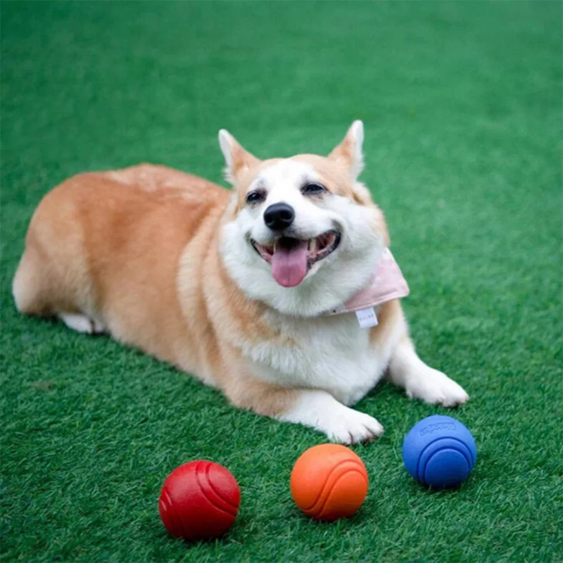 Bola Resistente Mastigável para Cachorros