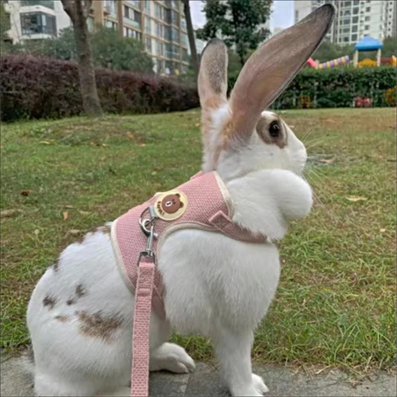 Coleira Peitoral com Guia para Coelhos