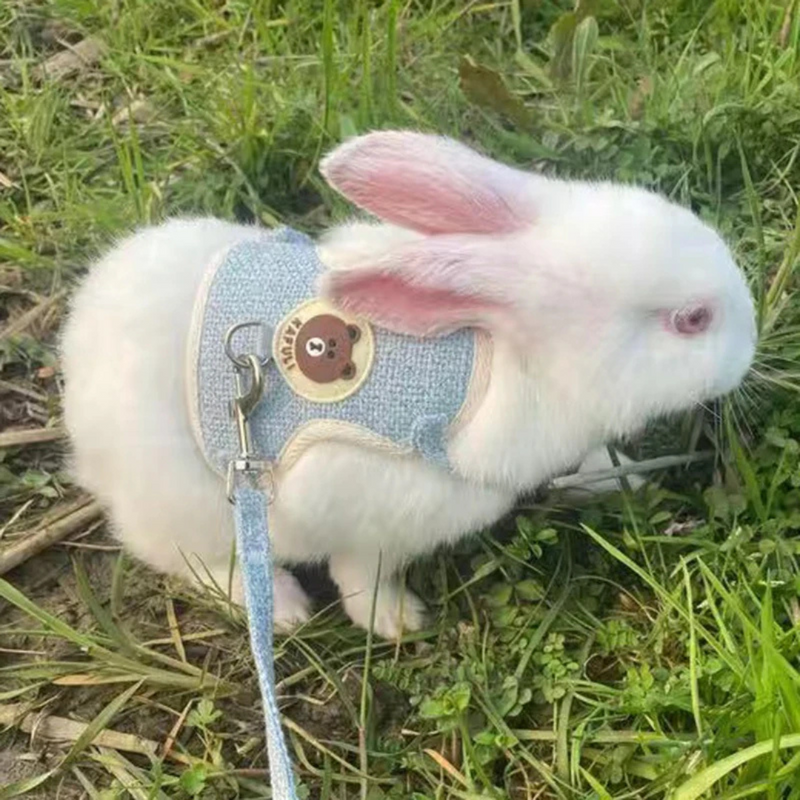 Coleira Peitoral com Guia para Coelhos