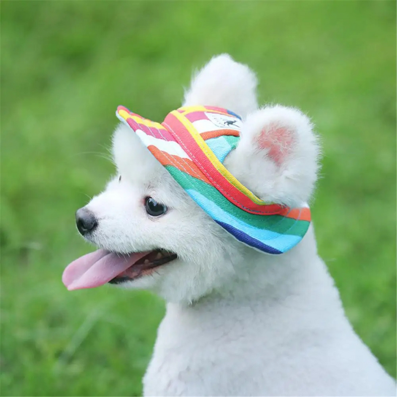 Chapéu de Praia Sol para Cachorros