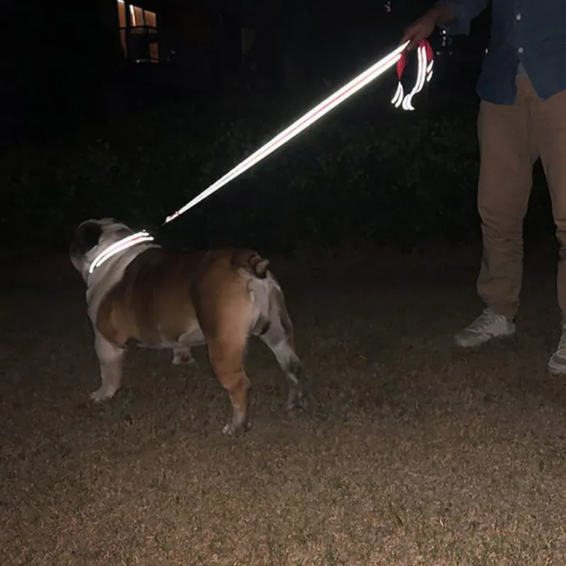 Guia Noturna Refletiva com Fivela de Aço para Cachorros