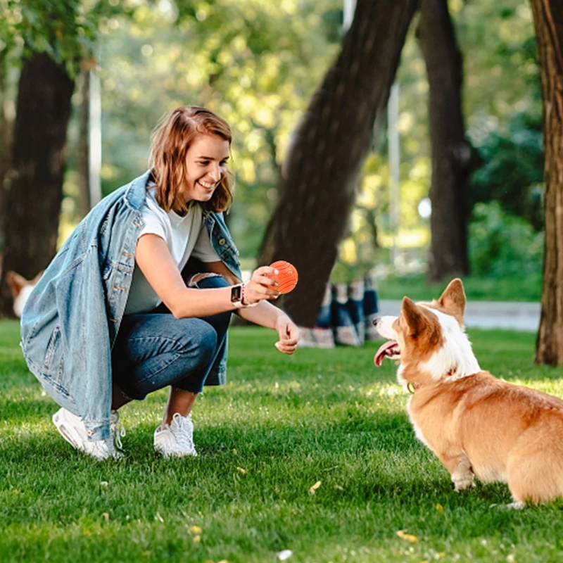 Bola Resistente Mastigável para Cachorros