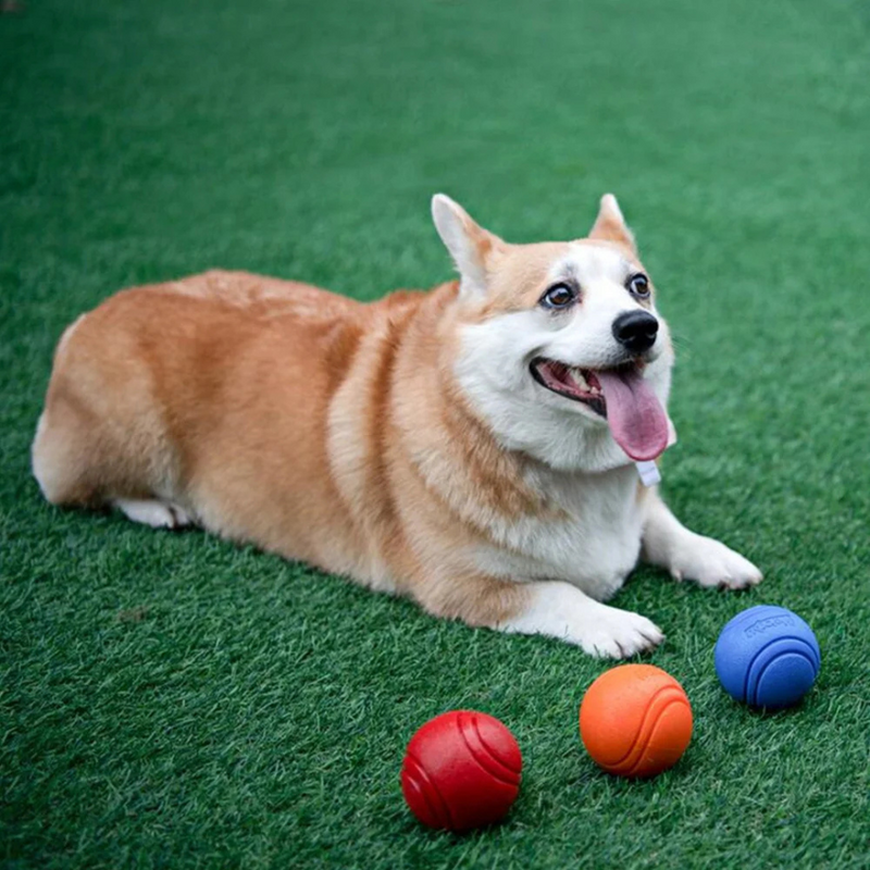 Bola Resistente Mastigável para Cachorros