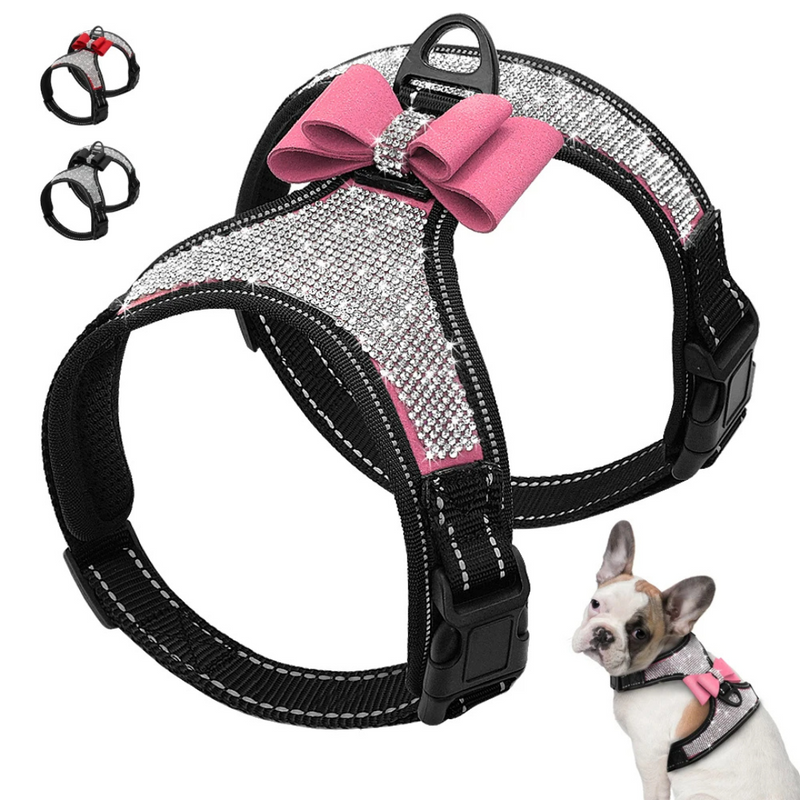 Peitoral Coleira com Gliter Strass para Cachorros