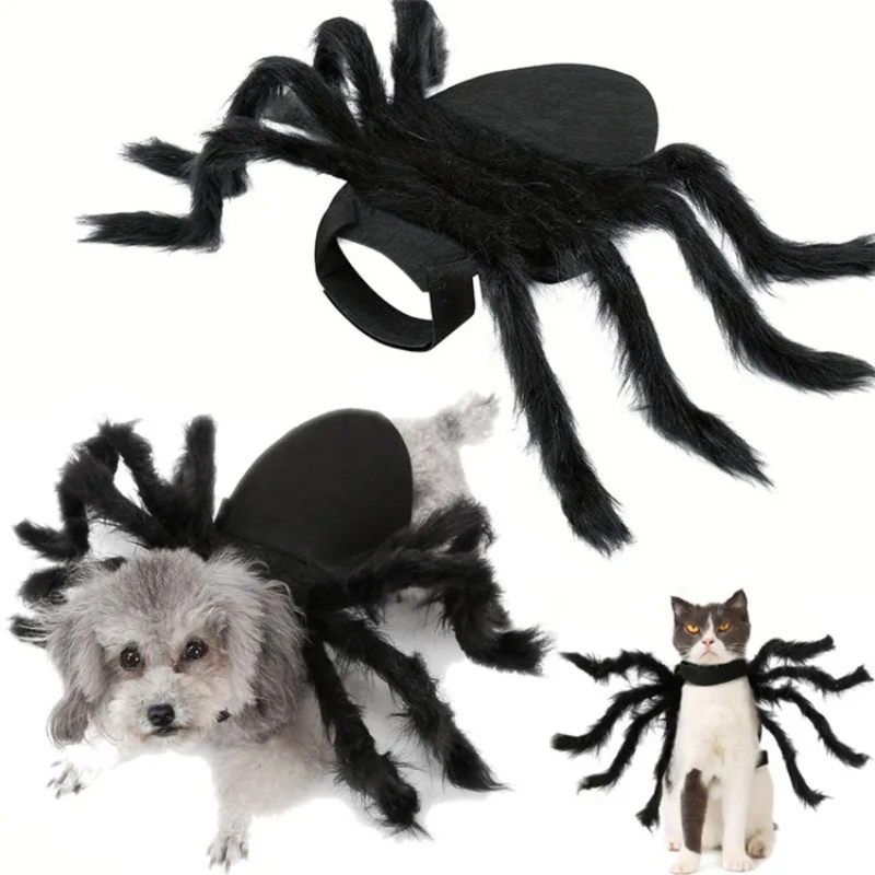 Fantasia Halloween de Aranha Divertida para Cachorros e Gatos