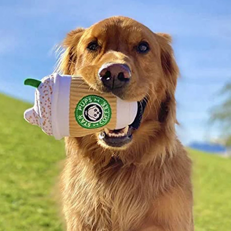 Brinquedo Pelúcia Café Star Pups Coffe para Cachorros