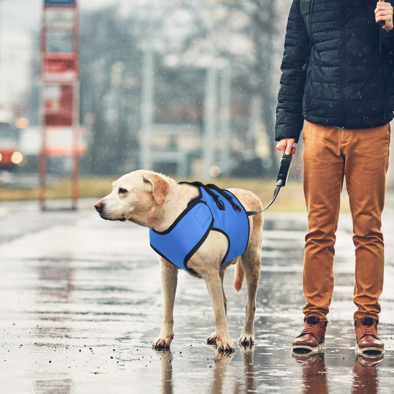 Sling Cinta Suporte Pet para Cães em Reabilitação com Dificuldade de Andar Deficiência