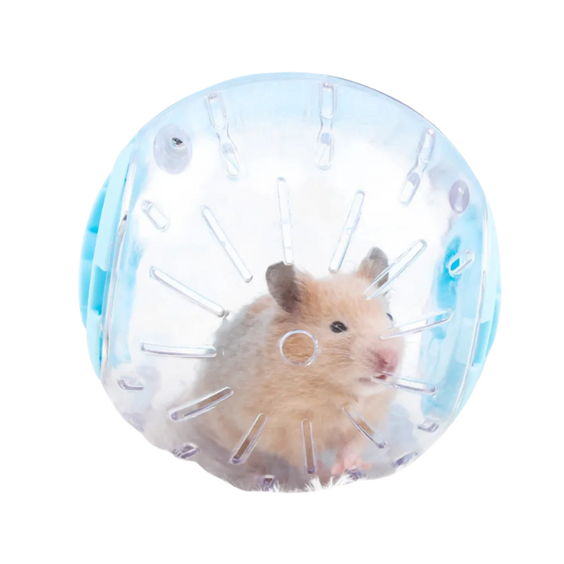 Bola Globo para Roedores Brinquedo de Exercício para Hamster Porquinho da Índia