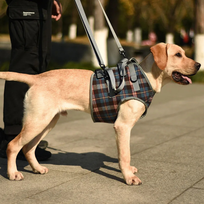 Suporte Sling com Alça Ajustável para Cachorros Idosos com Dificuldade de Andar Displasia Deficiência Pós Cirurgia