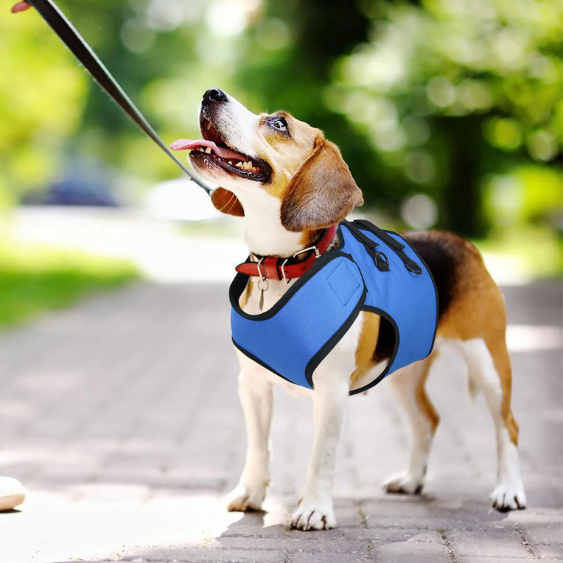 Sling Cinta Suporte Pet para Cães em Reabilitação com Dificuldade de Andar Deficiência