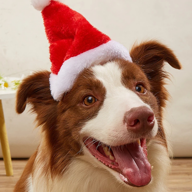 Gorro Natalino para Pets Chapéu Natalino para Cães e Gatos