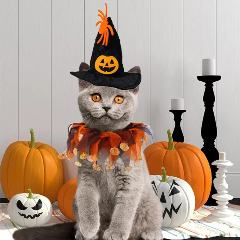 Fantasia de Halloween para Pets Chapéu e Coleira Ajustáveis em Estilo Abóbora