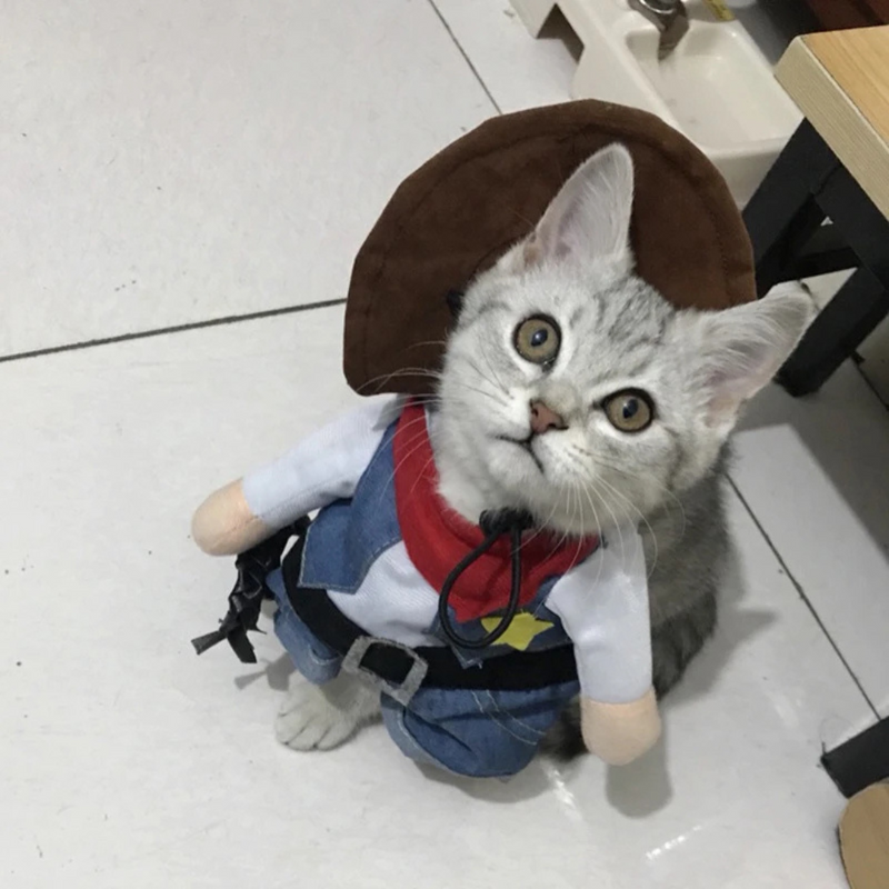 Fantasia Cowboy Xerife para Gatos e Cachorros