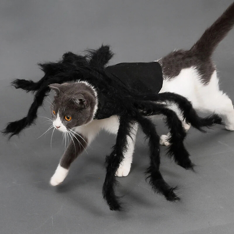 Fantasia Halloween de Aranha Divertida para Cachorros e Gatos