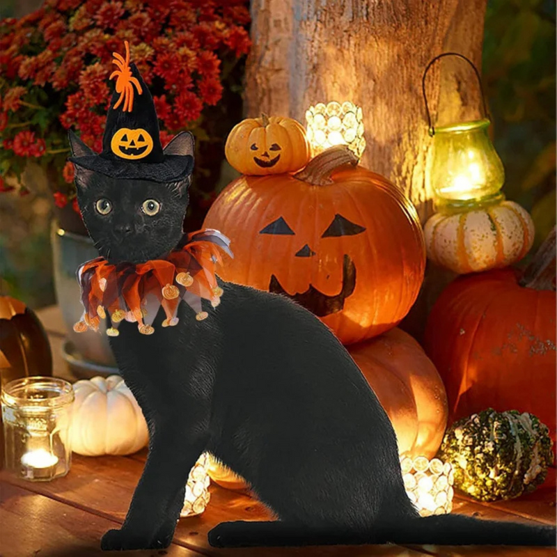 Fantasia de Halloween para Pets Chapéu e Coleira Ajustáveis em Estilo Abóbora