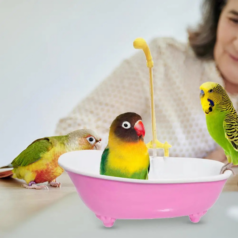 Banheiro de Banho para Aves Piscina Automática com Fonte para Papagaio Periquito Calopsita