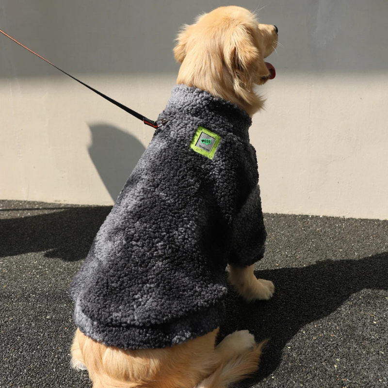 Jaqueta de Inverno com Forro de Lã para Cachorros