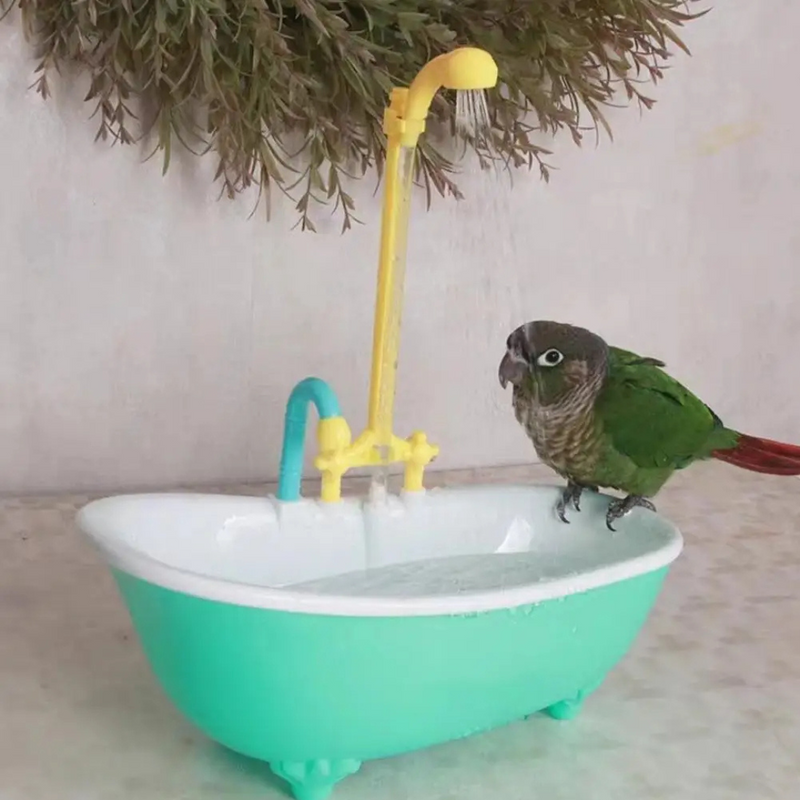 Banheiro de Banho para Aves Piscina Automática com Fonte para Papagaio Periquito Calopsita