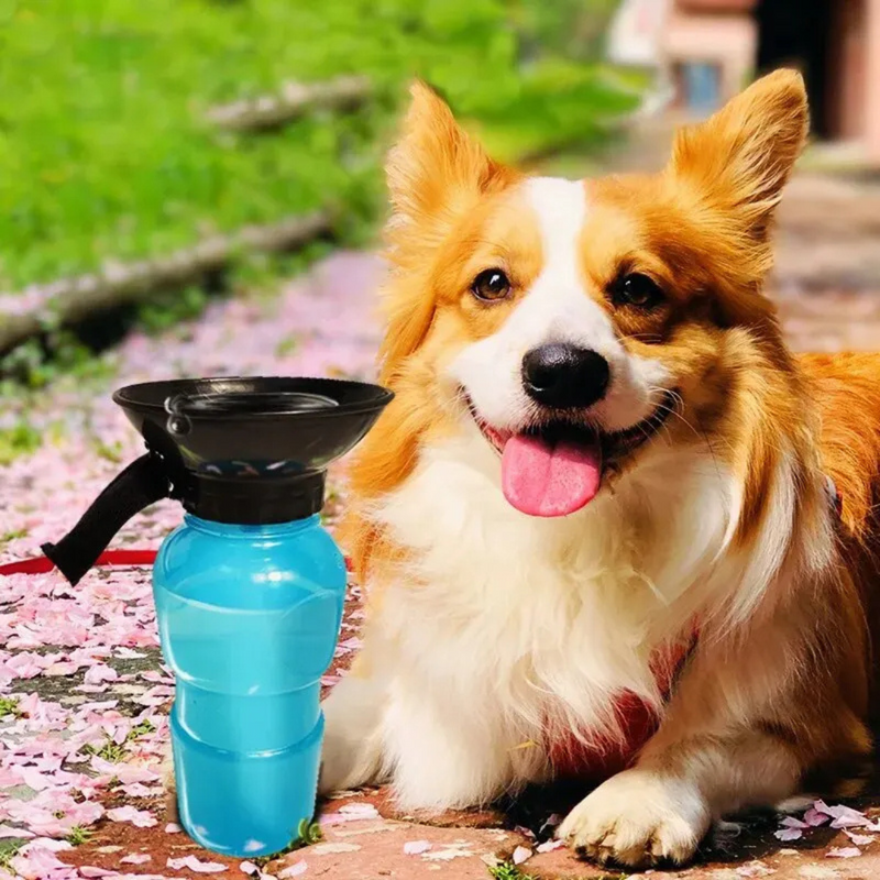 Garrafa Bebedouro Portátil AquaDog para Passeios e Viagens