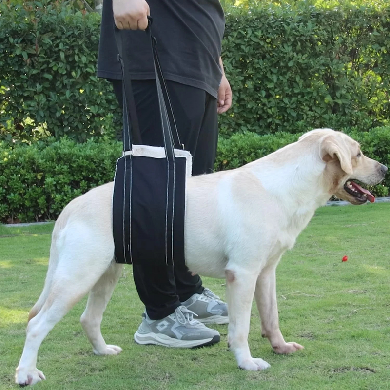 Cinta Elevatória Ajustável para Patas Traseiras Suporte de Reabilitação para Cães Idosos