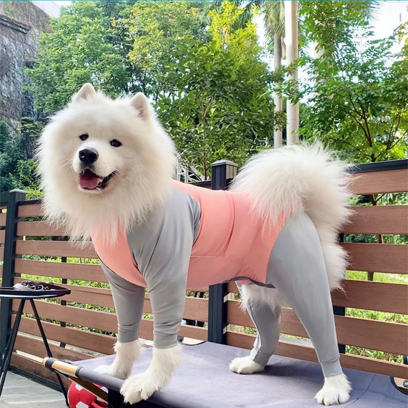 Roupinha Pijama Pós Cirúrgica para Cachorros com Mangas Longas