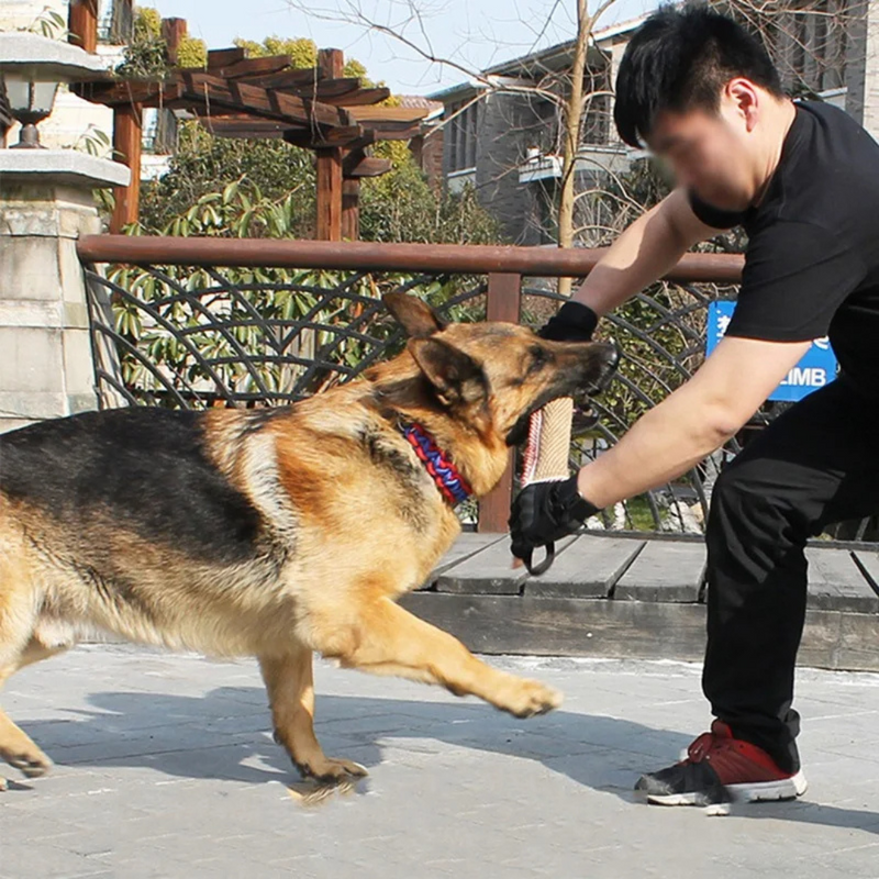 Brinquedo Mordedor com Corda Puxador para Treinamento e Adestramento de Cães