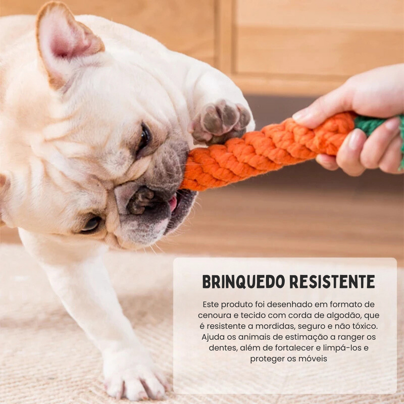 Cenoura Brinquedo Pet Mordedor Resistente para Cães