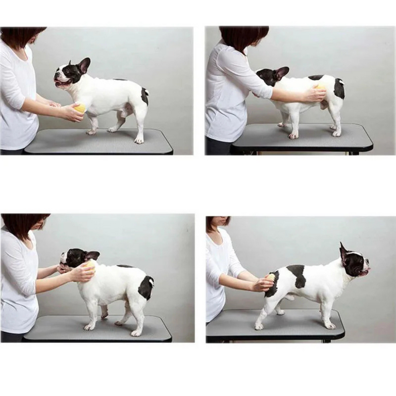 Escova Massageadora para Cães e Gatos