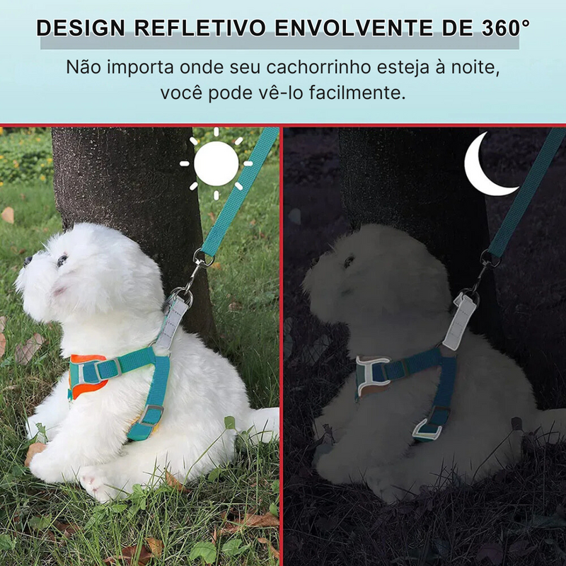 Conjunto Coleira Peitoral e Guia para Cachorros