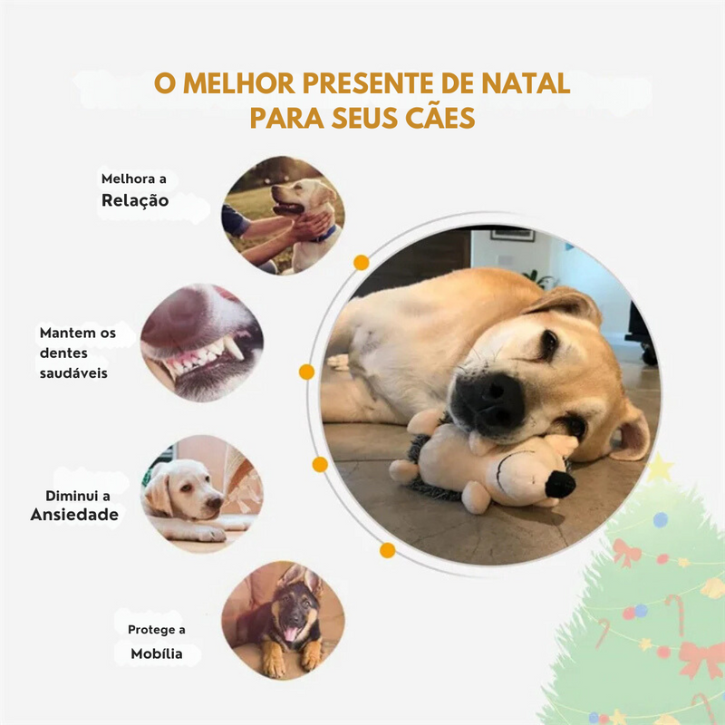 Brinquedo Pelúcia Ouriço para Cães