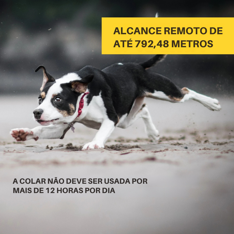 Coleira Eletrônica Treinamento e Adestramento Anti Latido para Cachorros