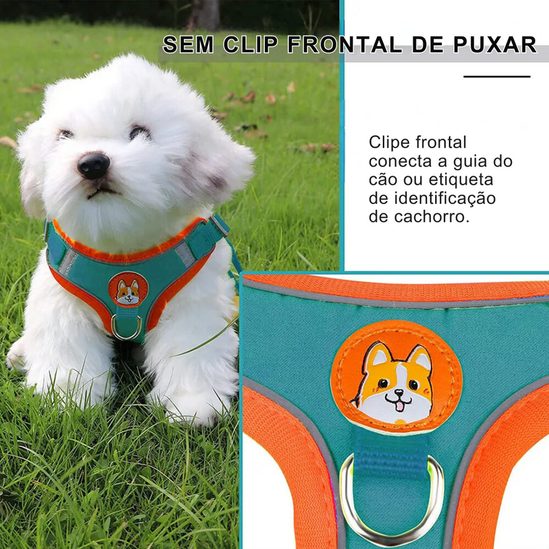 Conjunto Coleira Peitoral e Guia para Cachorros