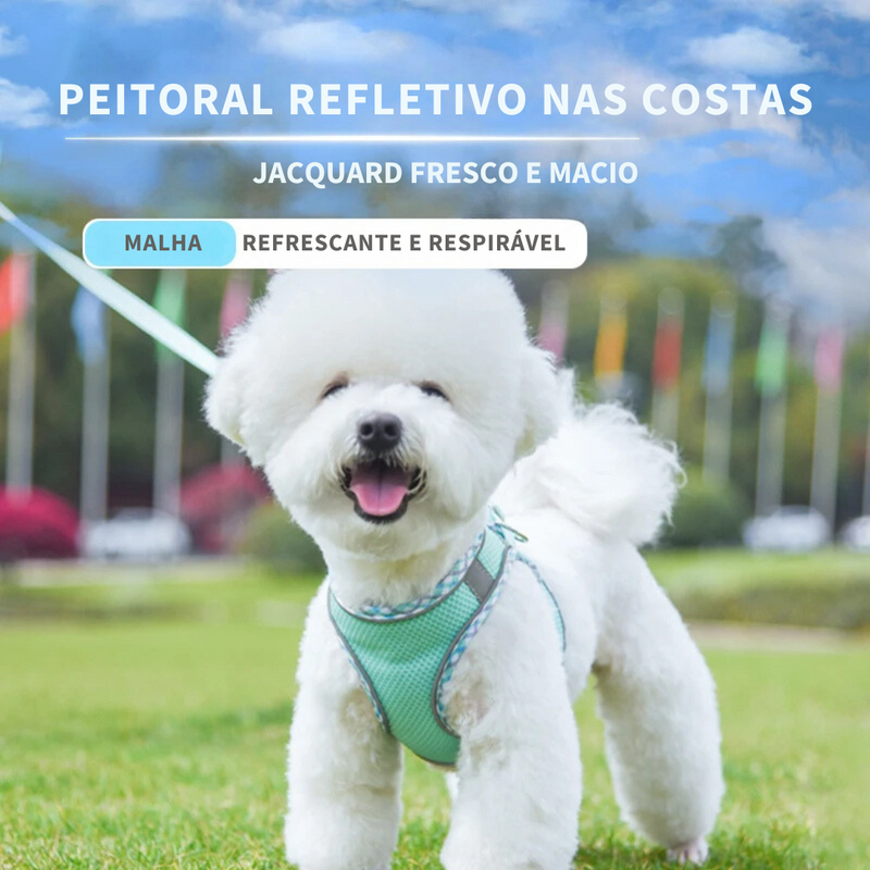 Conjunto Peitoral e Guia Ajustável para Cães